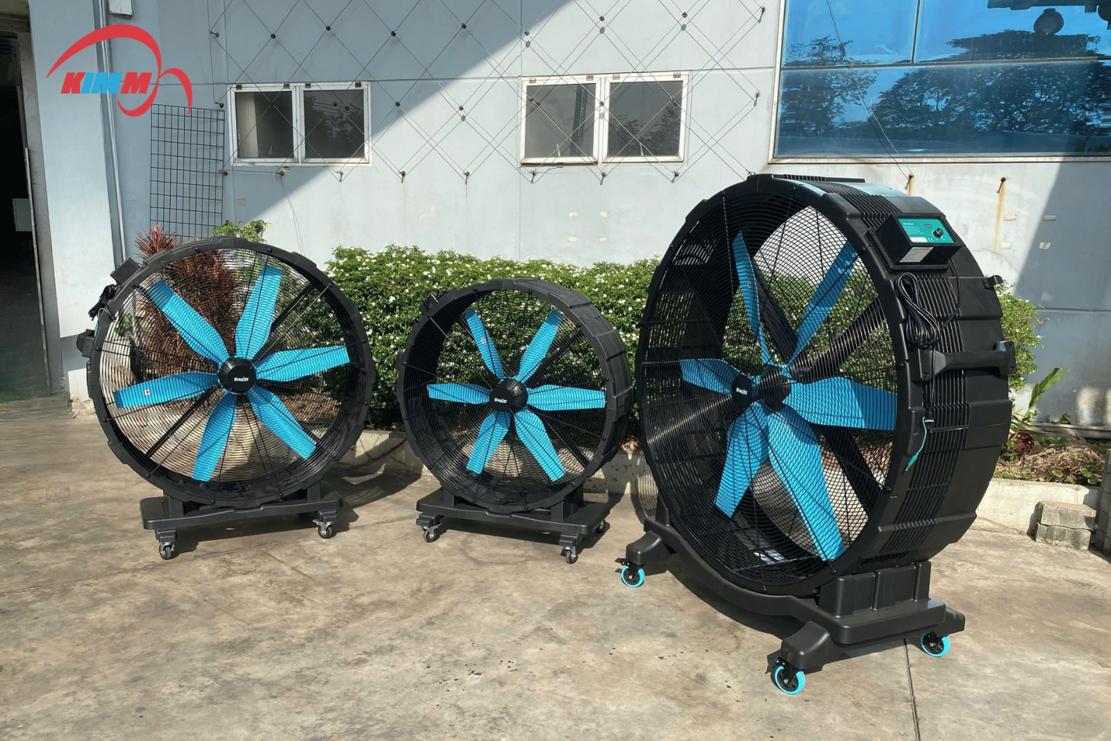 Quạt tank DC nhà dasin
